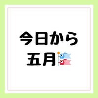 画像251