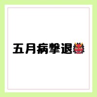 画像259