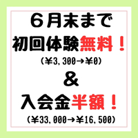 画像298