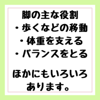 画像306