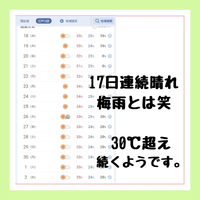 画像317