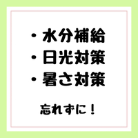 画像318