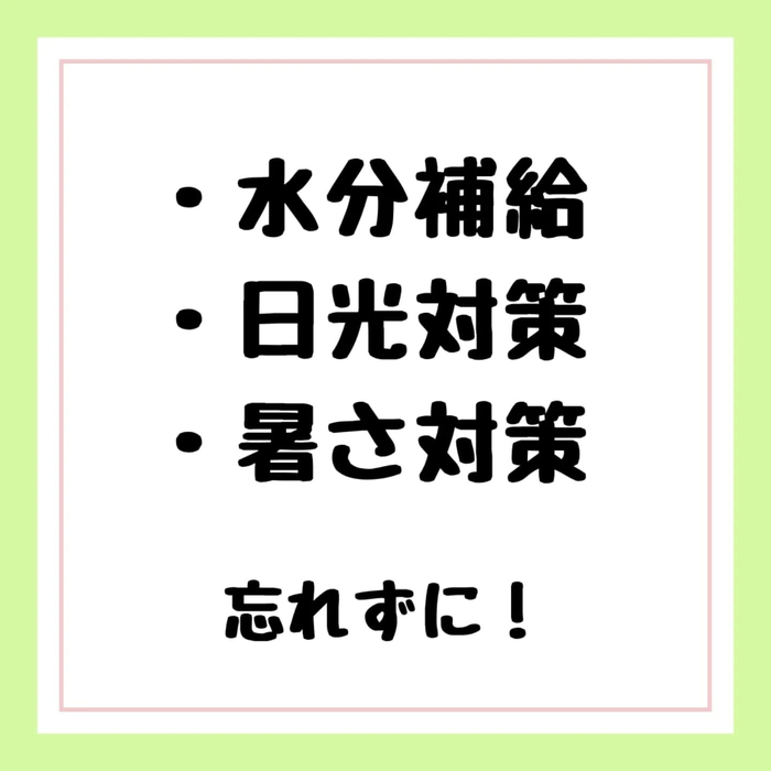 画像318